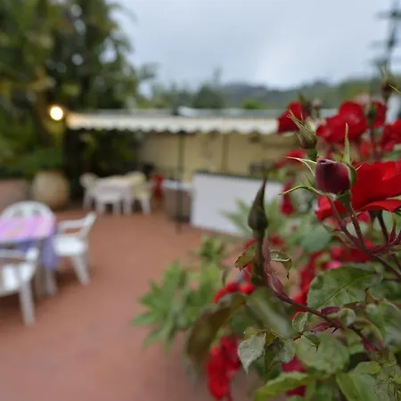 Elvira 迪亚诺马里纳